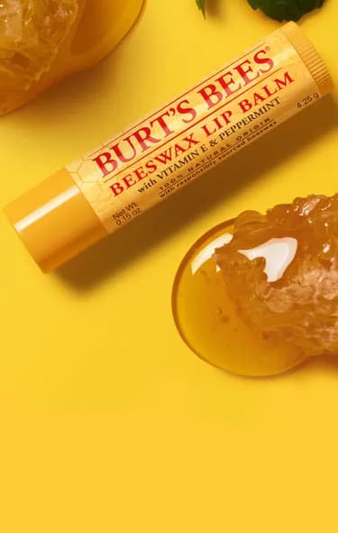 burt's bees products